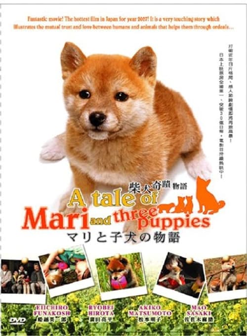 Joe Hisaishi’s Emotional Masterpiece: The Score of ‘A Tale of Mari and Three Puppies’
